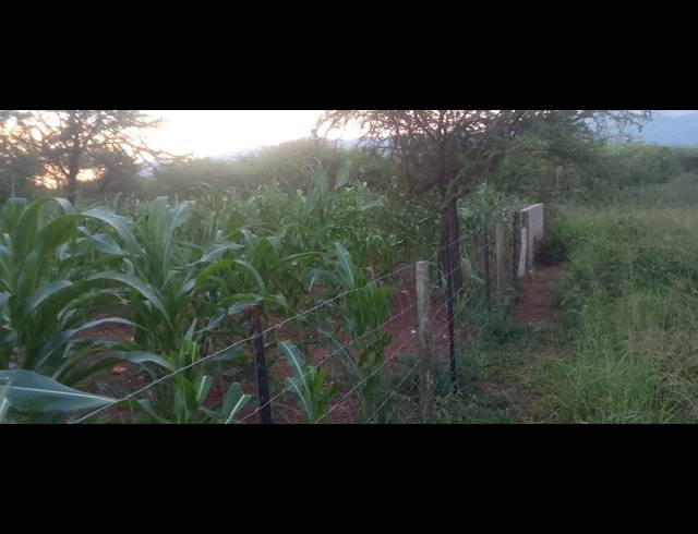 14HA FARM FOR SALE IN HA-MATSA